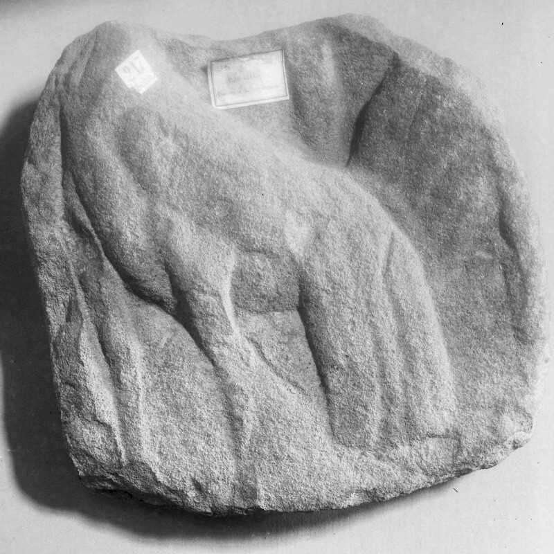 Fragment de stèle représentant un coq debout